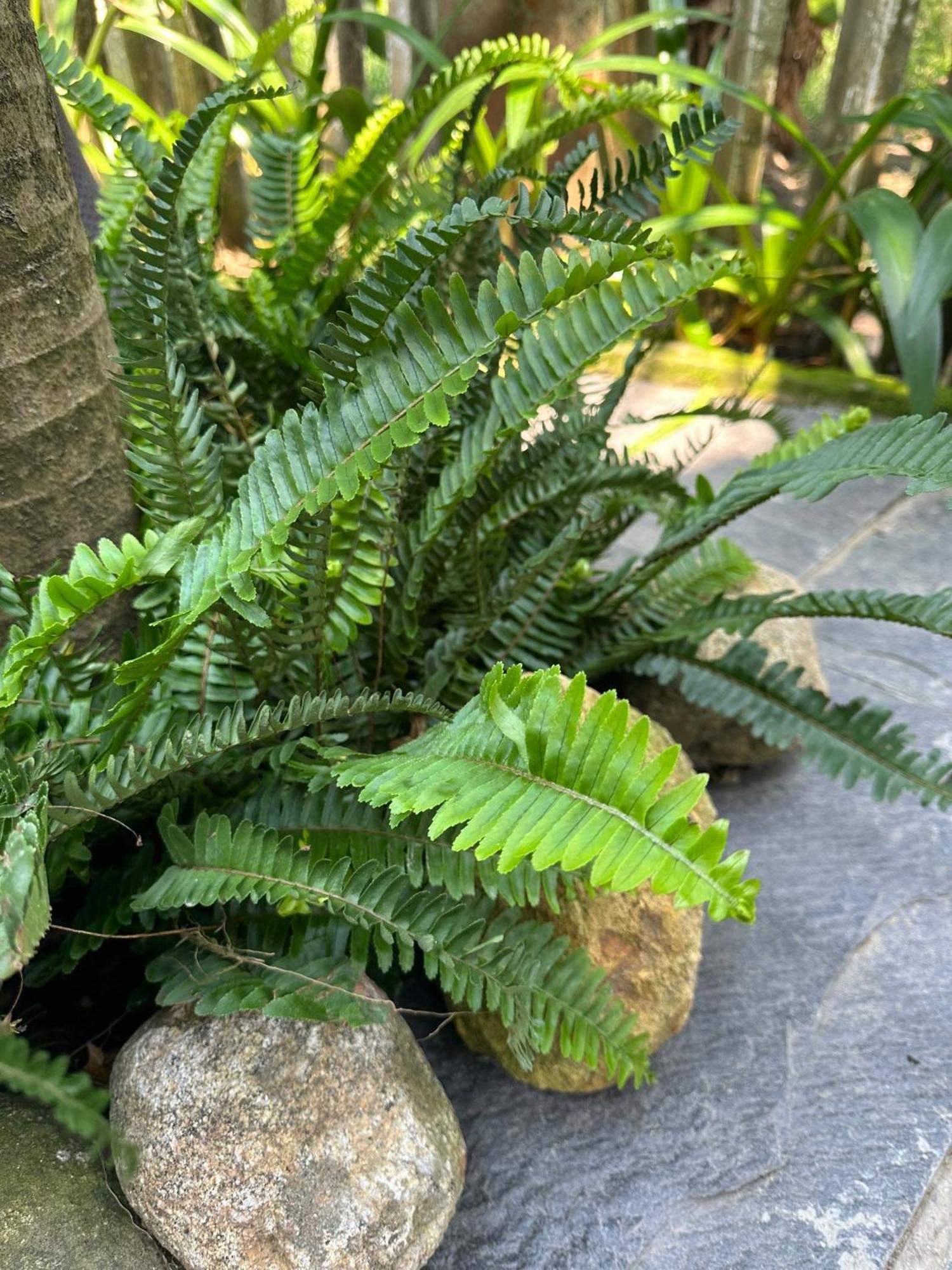 Water Palm Residence Hieu Nhon Eksteriør bilde